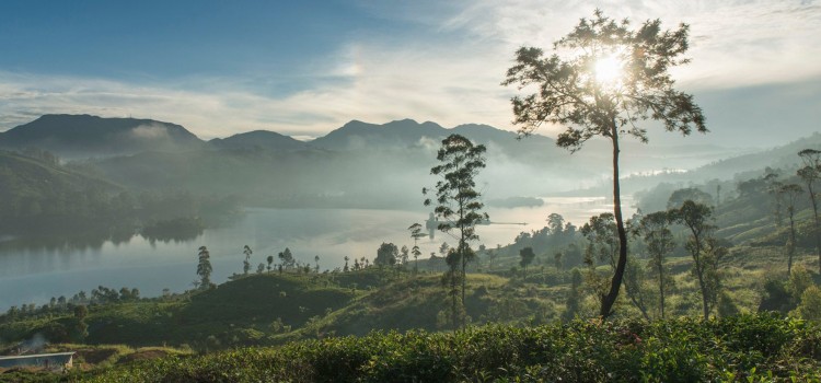 Viajes a Sri Lanka - Consejos y Recomendaciones de Viaje